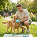 2-in-1 Portable Dog Water Bottle for Small Dogs
