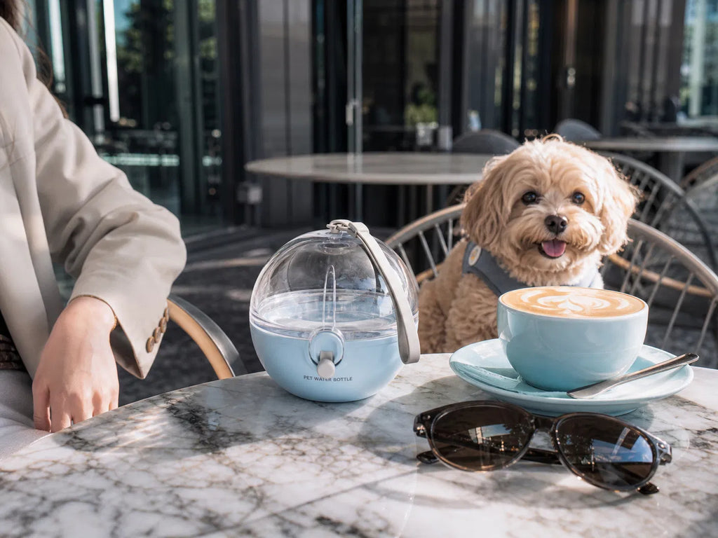 2-in-1 Portable Dog Water Bottle for Small Dogs